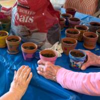 flowerpotplanting2